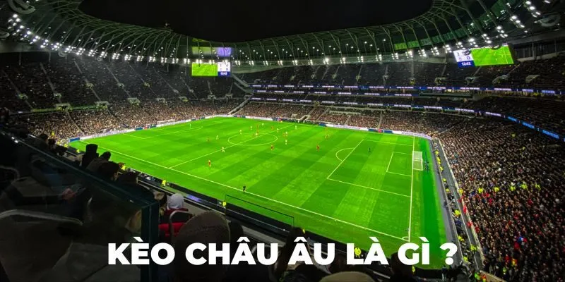 Bảng kèo 1X2 tại AE888 hiển thị tỷ lệ trực quan, dễ đọc và dễ cược cho cả người mới.