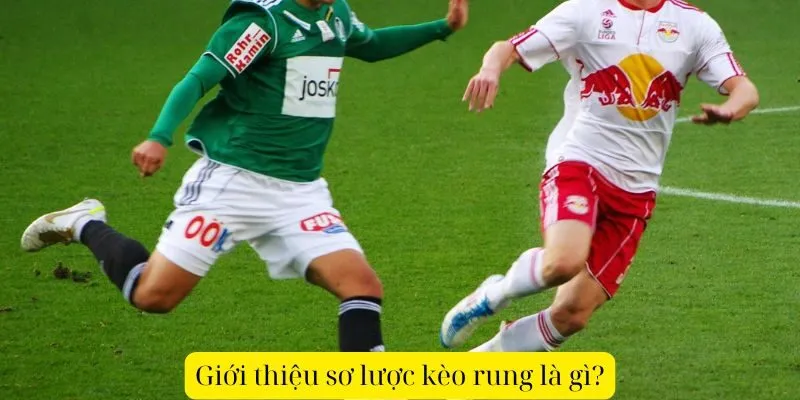 AE888 hỗ trợ người chơi phân tích kèo rung tốt hơn nhờ dữ liệu trận chi tiết và kèo cập nhật nhanh.