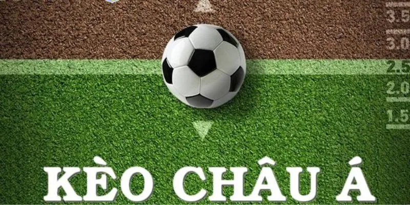 Theo dõi tỷ lệ thắng kèo của các đội bóng giúp người chơi phân tích kèo châu Á hiệu quả hơn tại AE888.